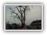 plosina_kalacska_027